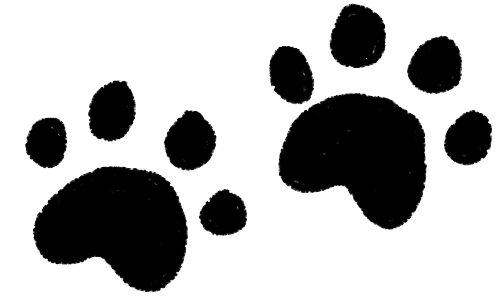 U235のポートフォリオのメッセージにいる猫の足跡